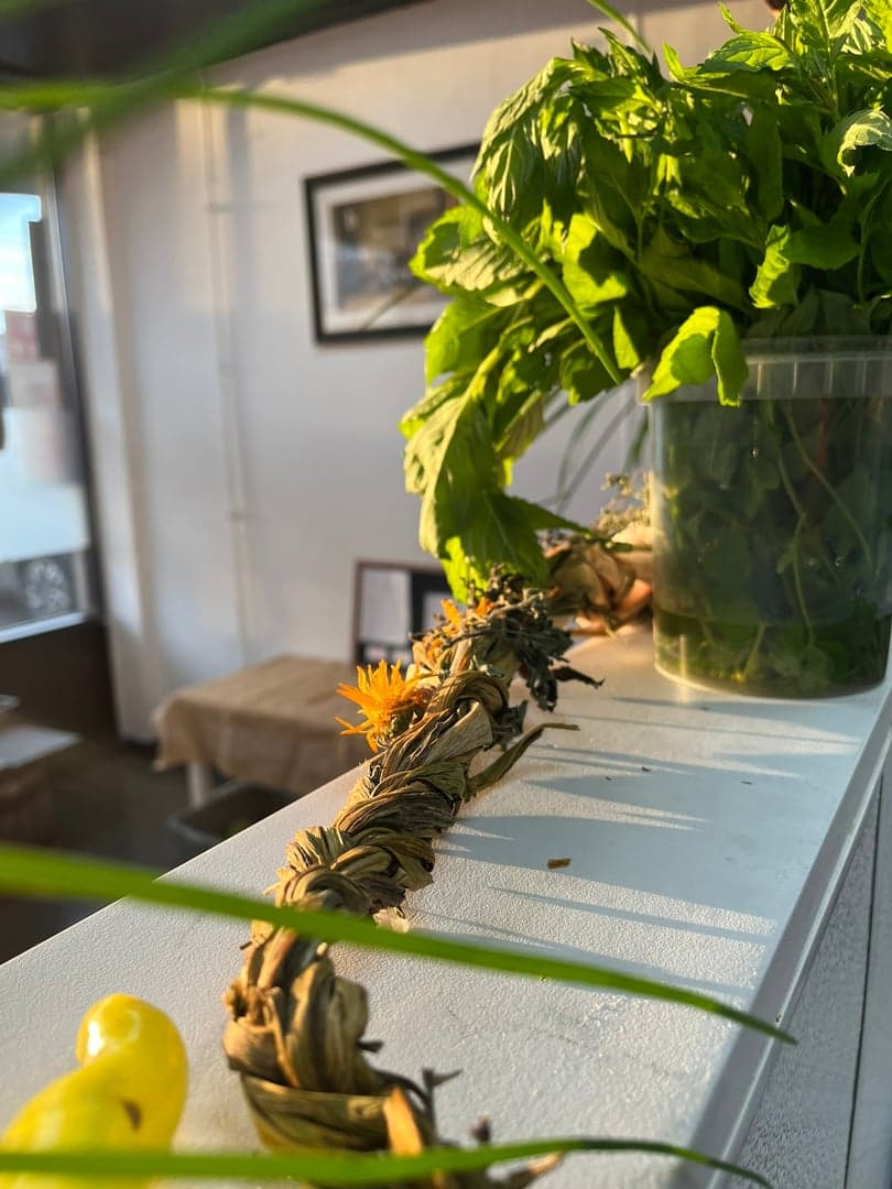 Fresh herbs for the week's menu